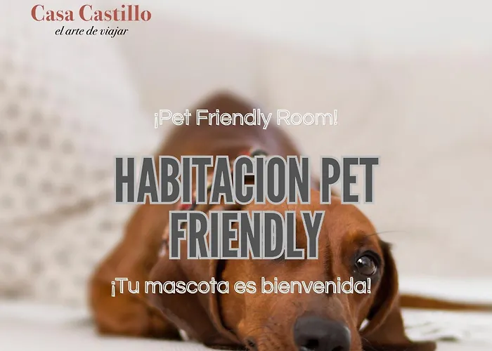 Casa Castillo Condesa Hotel *